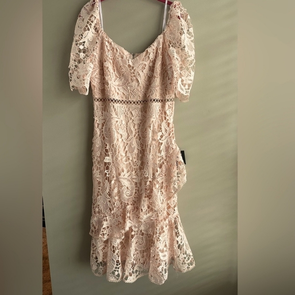 NWT Briarwood Blush Pink Lace Ruffled Midi Dress - Picture 5 of 8